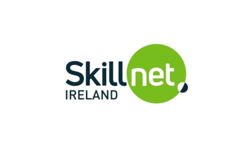 Skillnet Ireland